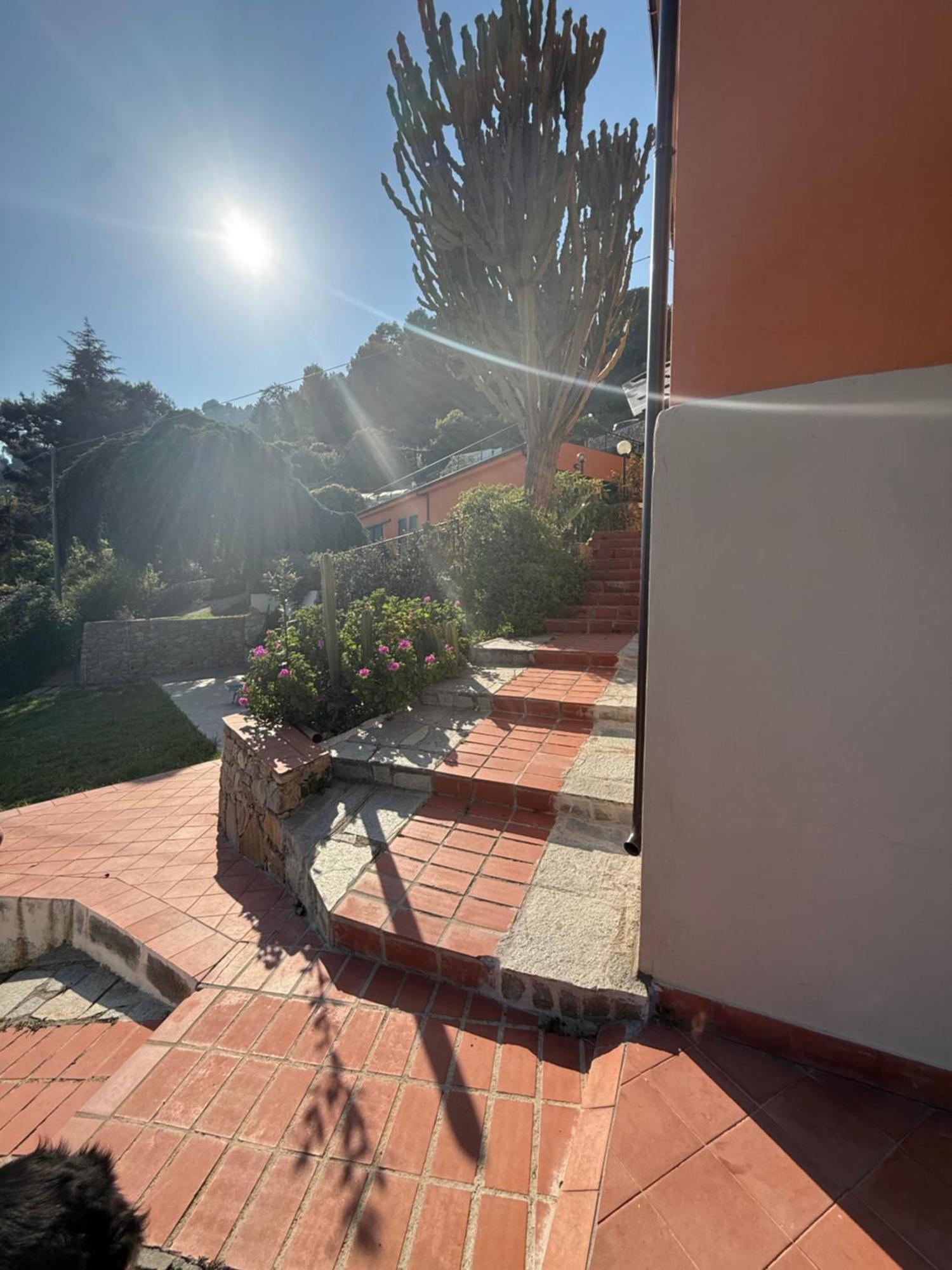 Agriturismo Un Mare Di Fiori Ventimiglia Exterior photo