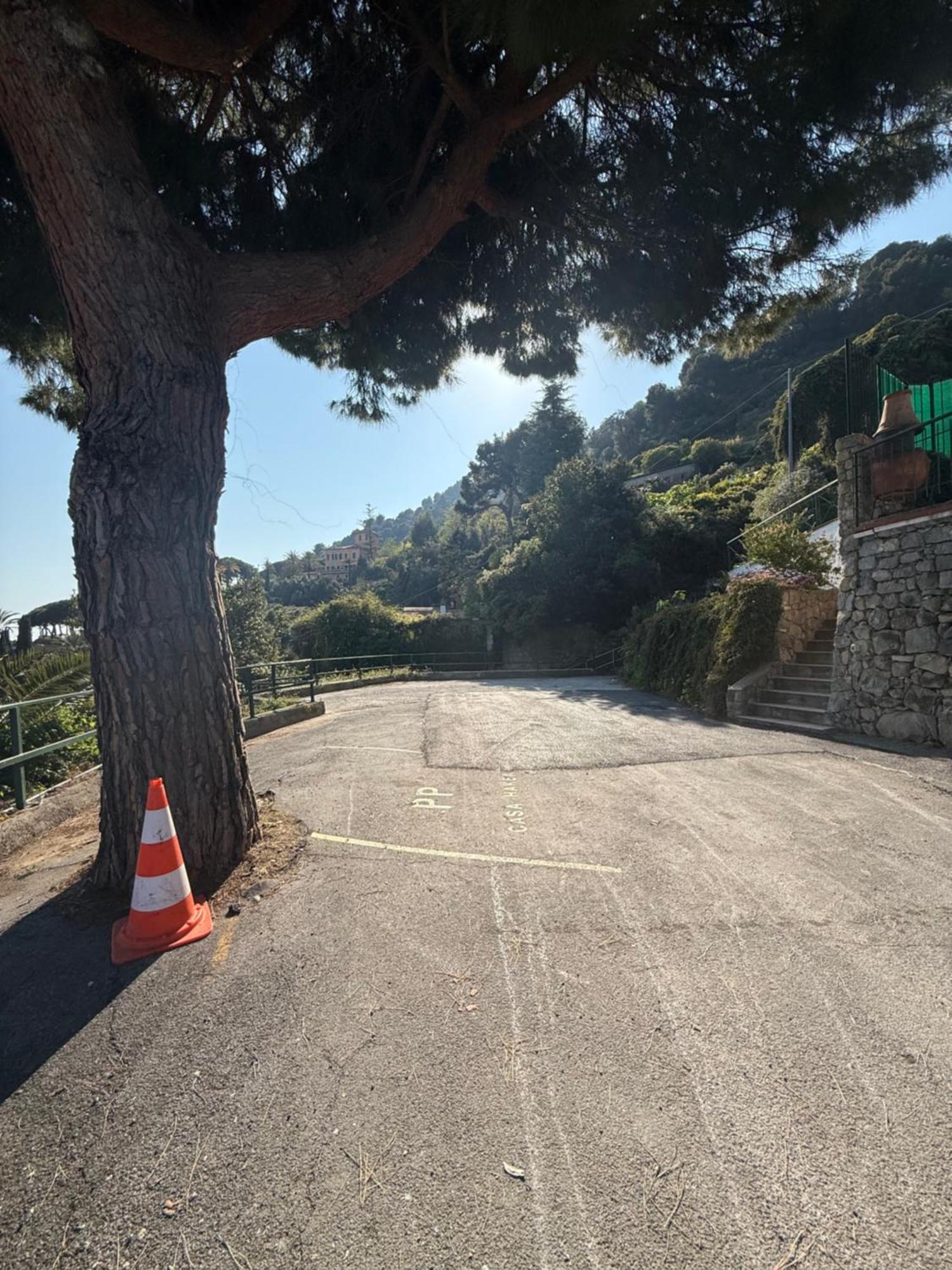 Agriturismo Un Mare Di Fiori Ventimiglia Exterior photo